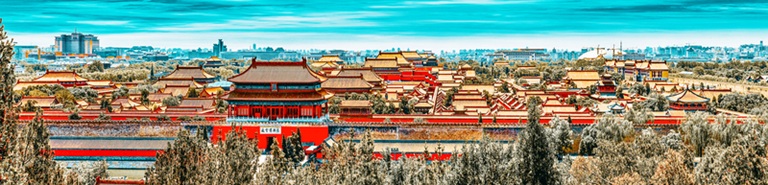 Image Here