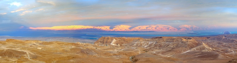 Image Here