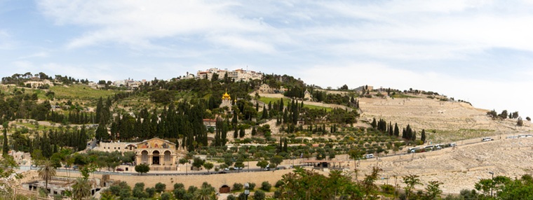 Image Here