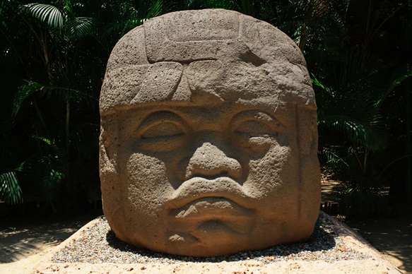 Image Here