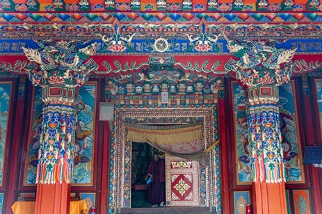 Image Here