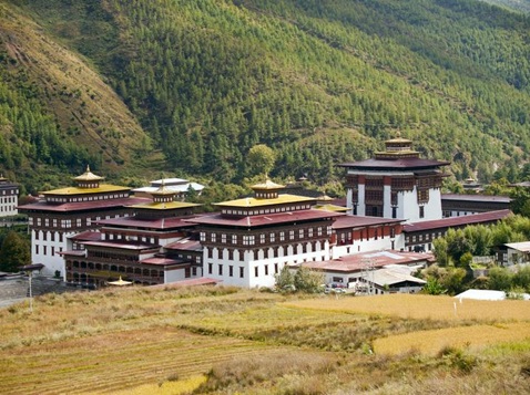 Image Here